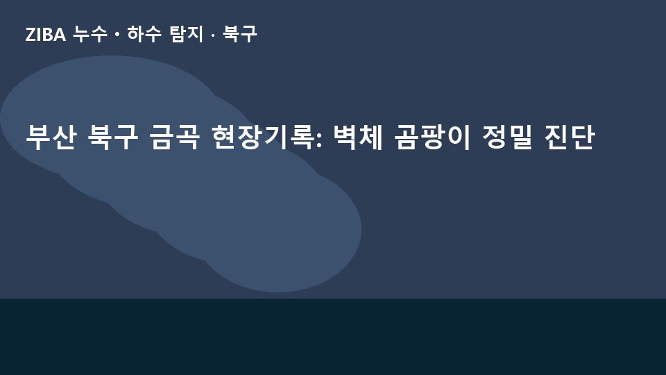 부산 북구 금곡 현장기록: 벽체 곰팡이 정밀 진단
