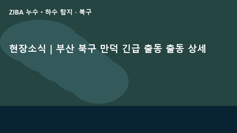 현장소식 | 부산 북구 만덕 긴급 출동 출동 상세