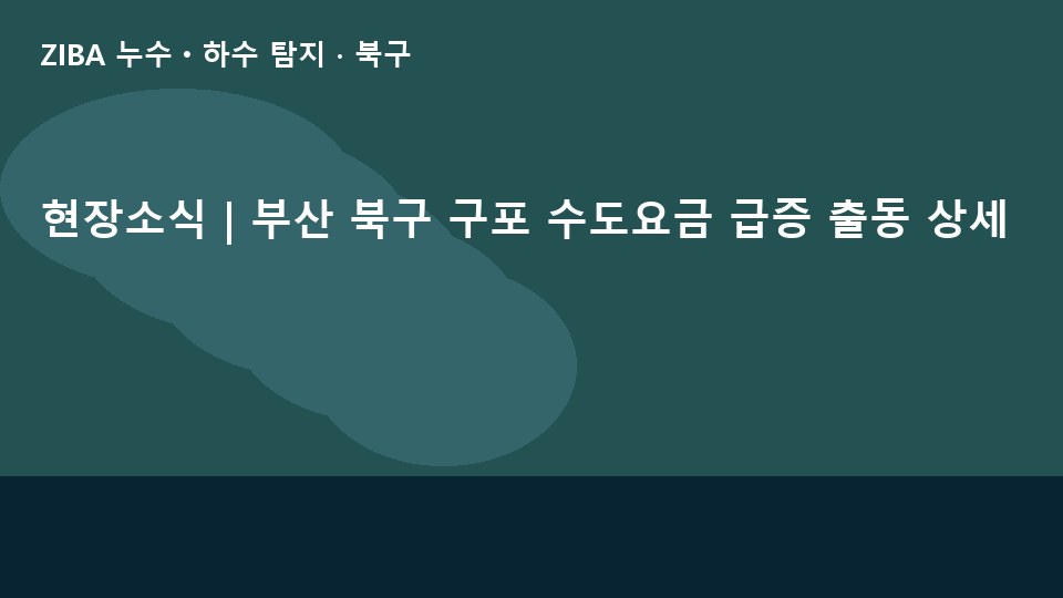 현장소식 | 부산 북구 구포 수도요금 급증 출동 상세